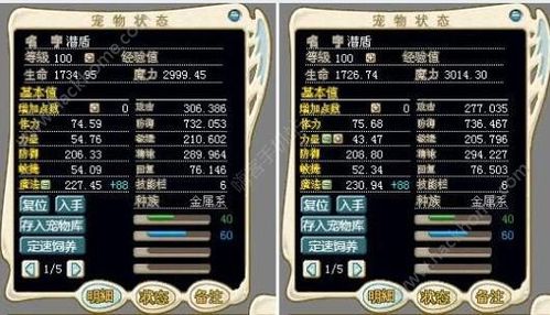 魔力宝贝私服宠物技能搭配全解析
