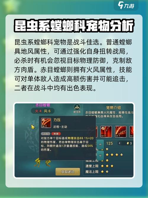 魔力宝贝私服宠物进化攻略:让你的伙伴更加强大